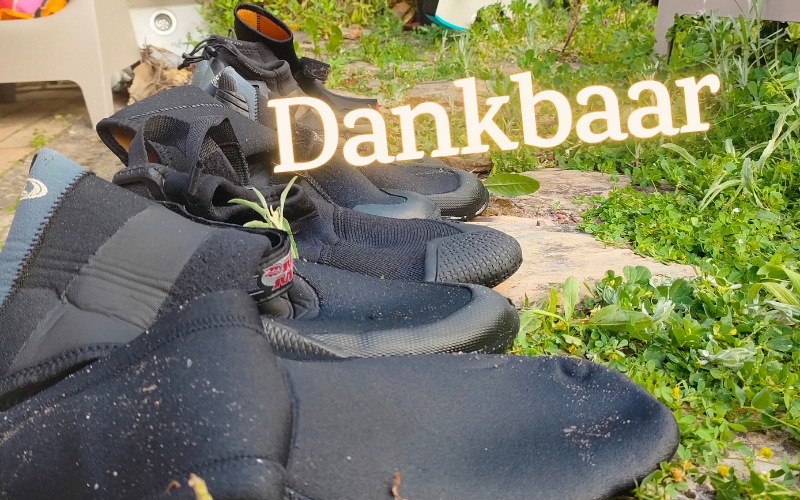 Dankbaarheid