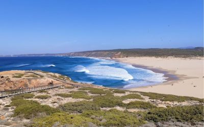Een picknick op de rotsen