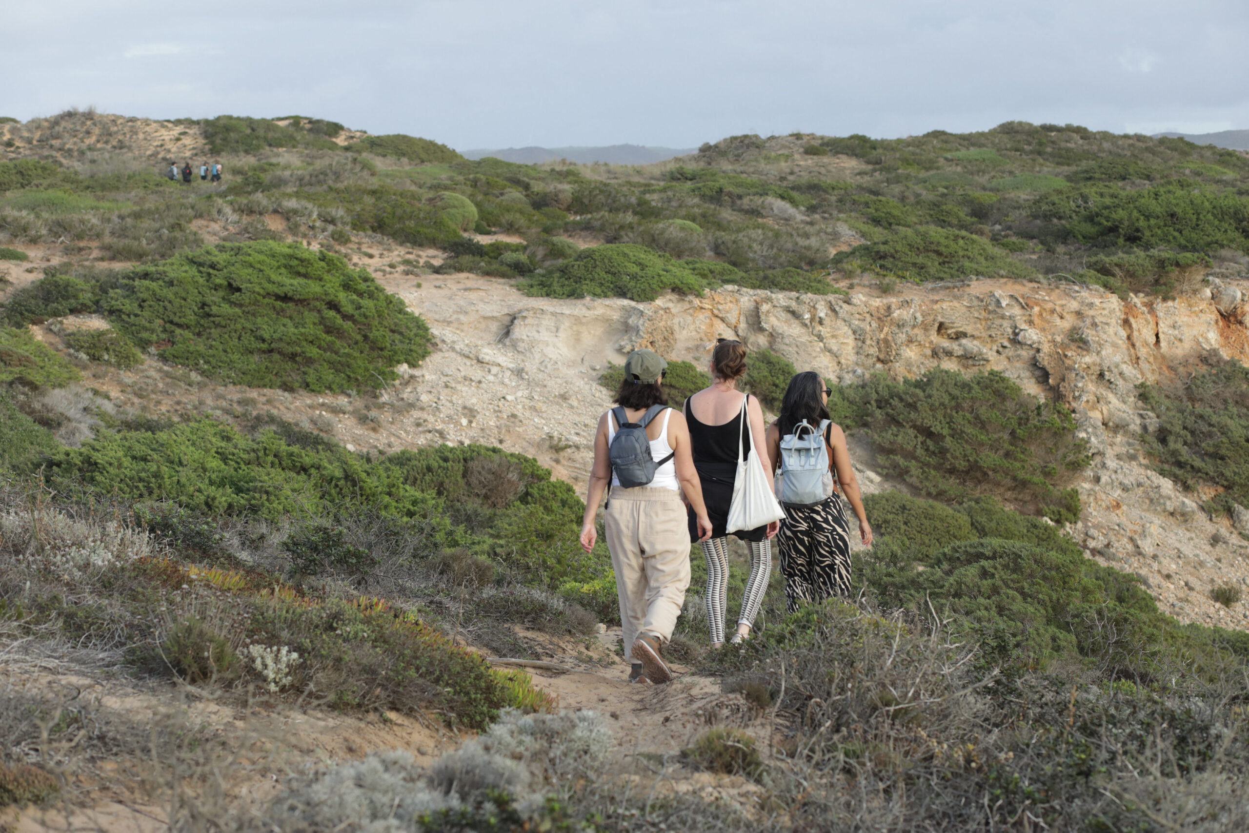 Cliffwalk pause retreat april